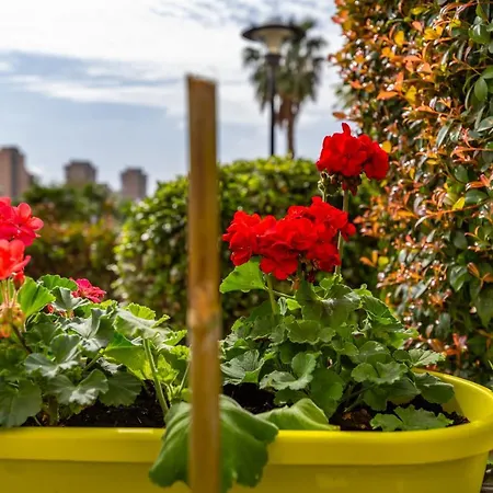 Colina Del Bajondillo