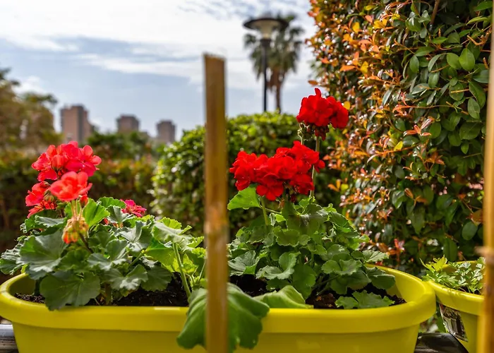 Colina Del Bajondillo *