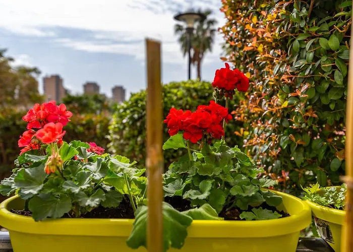 Colina Del Bajondillo